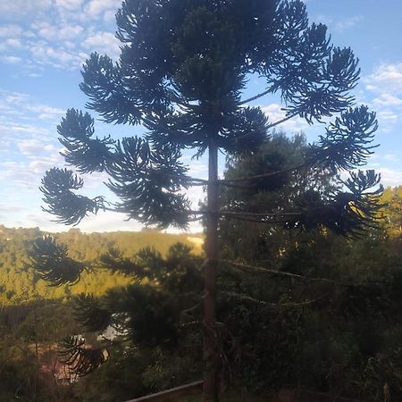 Loft Aconchegante - Vista Para As Montanhas Кампус-ду-Жордан Екстер'єр фото